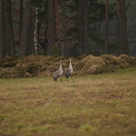 Wrzosowisko Dom wakacyjny