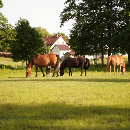 Wrzosowisko בית נופש Sominy