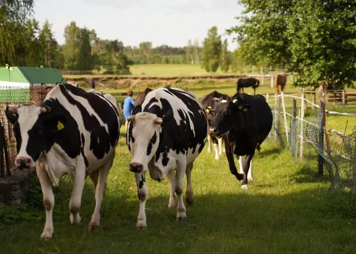 Wrzosowisko Prázdninový dům Sominy