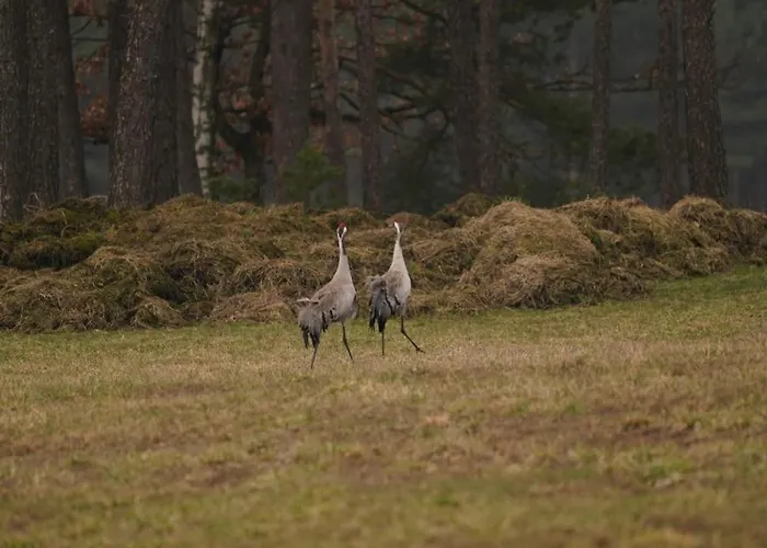 Wrzosowisko Prázdninový dům