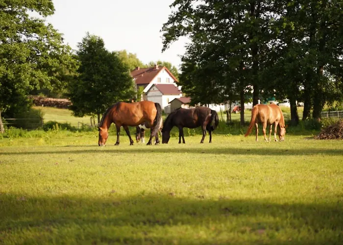 Wrzosowisko Prázdninový dům Sominy